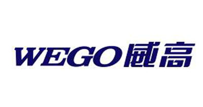 Shandong Weigao Medical Group