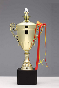 Company trophy